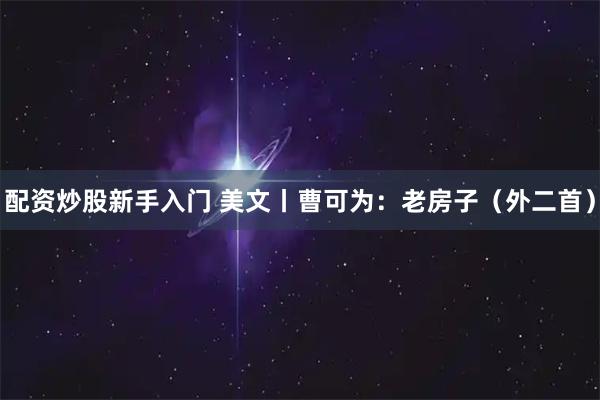 配资炒股新手入门 美文丨曹可为：老房子（外二首）