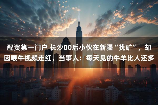 配资第一门户 长沙00后小伙在新疆“找矿”，却因喂牛视频走红，当事人：每天见的牛羊比人还多