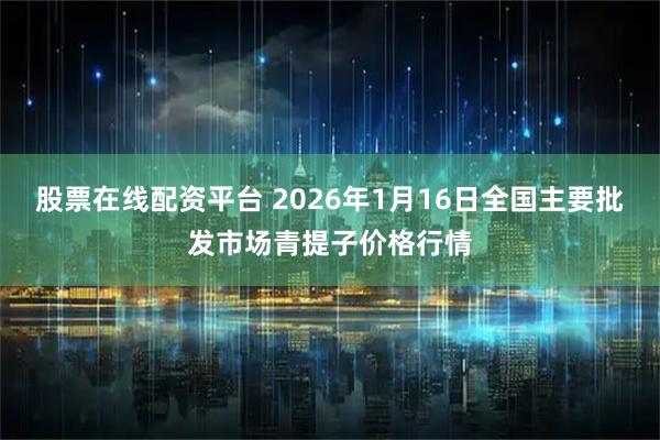 股票在线配资平台 2026年1月16日全国主要批发市场青提子价格行情