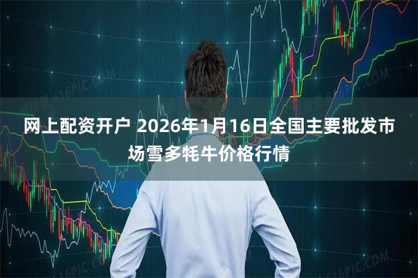 网上配资开户 2026年1月16日全国主要批发市场雪多牦牛价格行情