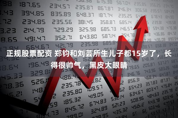 正规股票配资 郑钧和刘芸所生儿子都15岁了，长得很帅气，黑皮大眼睛